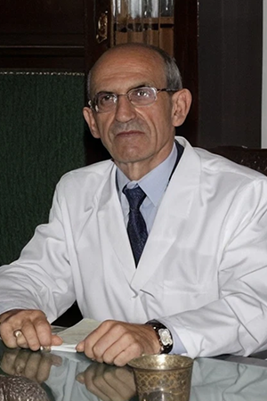 Vladimir M. Perelmuter